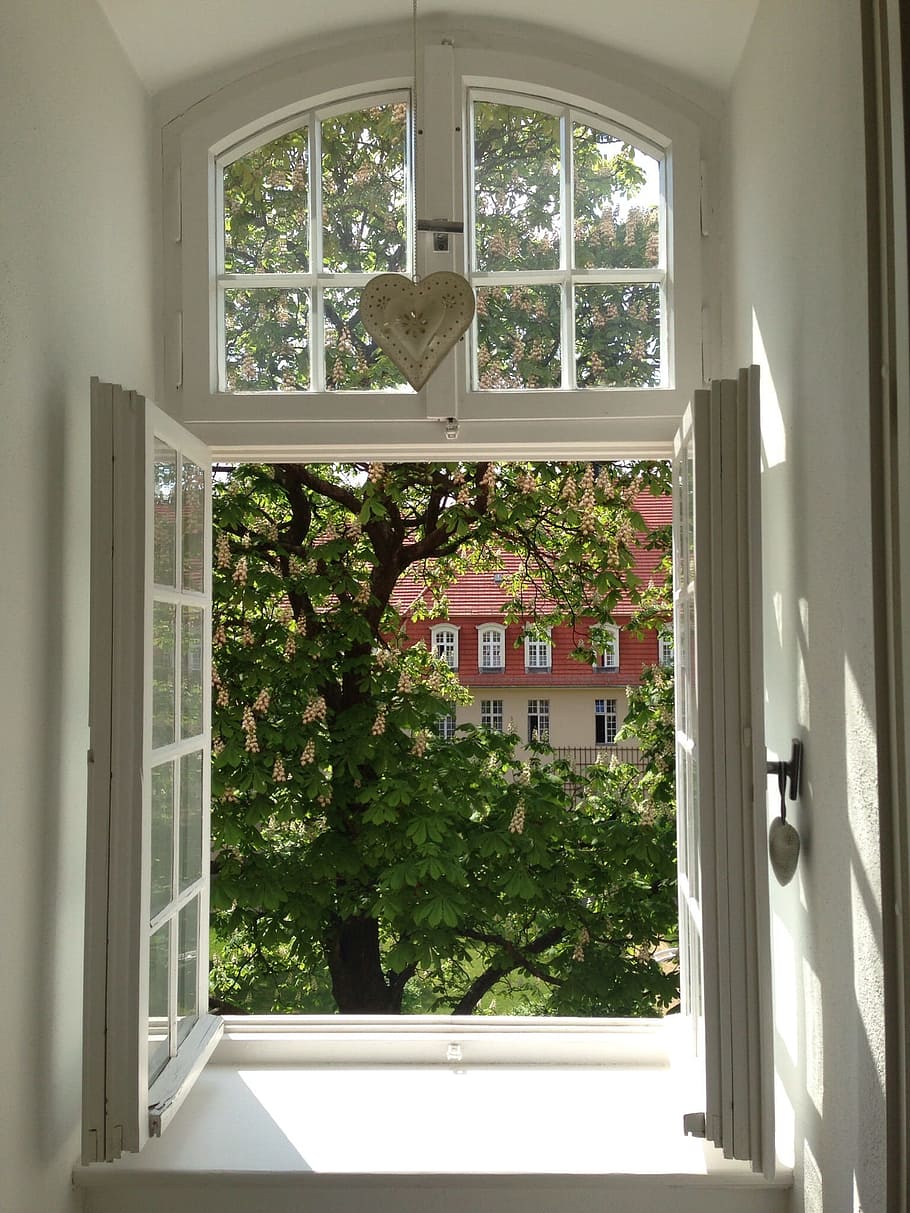 open window near tree, spring, heart, blossom, bloom, sunshine HD wallpaper