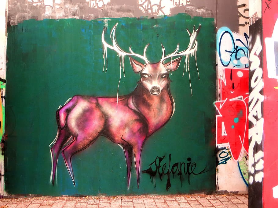 graffiti, hirsch, antler, mural, street art, facade paint, wall HD wallpaper
