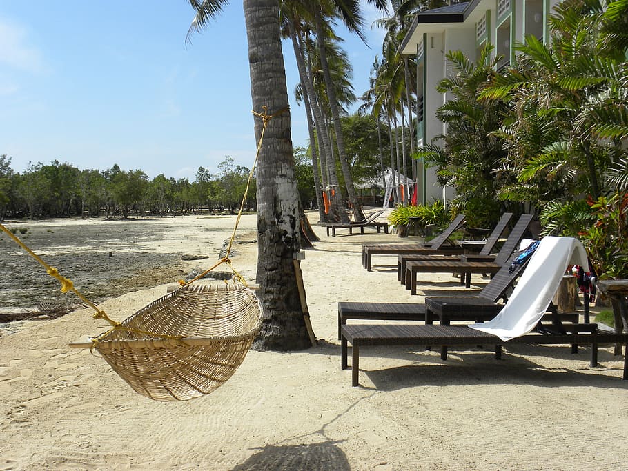 beach, sea, hammock, coconut tree, sand, palm, exotic, seat HD wallpaper
