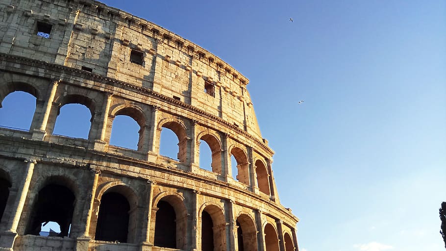 rome, colosseum, history, the past, amphitheater, arch, sky HD wallpaper