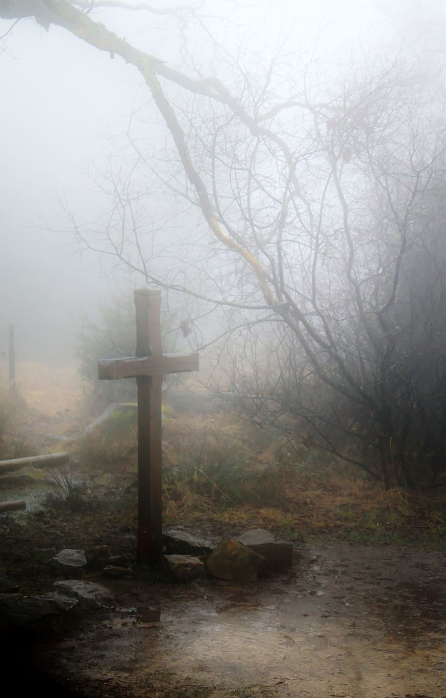 brown wooden cross near leafless tree surrounded by fogs at daytime
