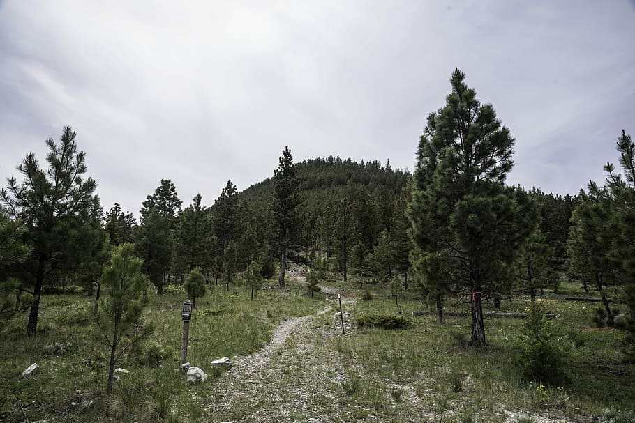 Starting the Mount Ascension Trail in Helena, cloudy, landscape HD wallpaper