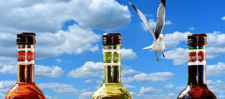 wine, drink, restaurant, weinstube, alcohol, bottles, wines HD wallpaper