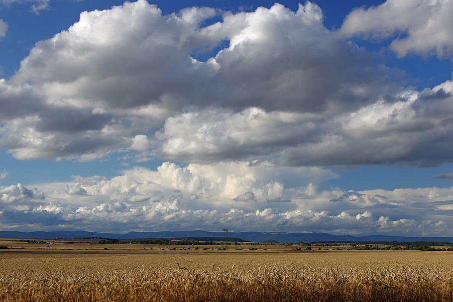 sky, heaven, clouds, blue, blue sky, field, summer, landscape HD wallpaper