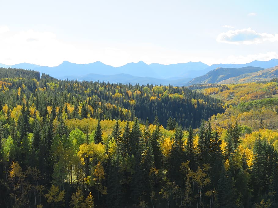 forest, mountains, autumn, nature, landscape, trees, canada HD wallpaper