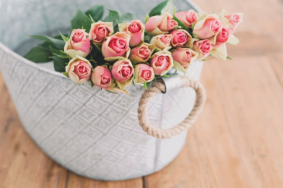 shallow focus photography of bouquet of pink flower in white bucket, pink rose arrangement in basket