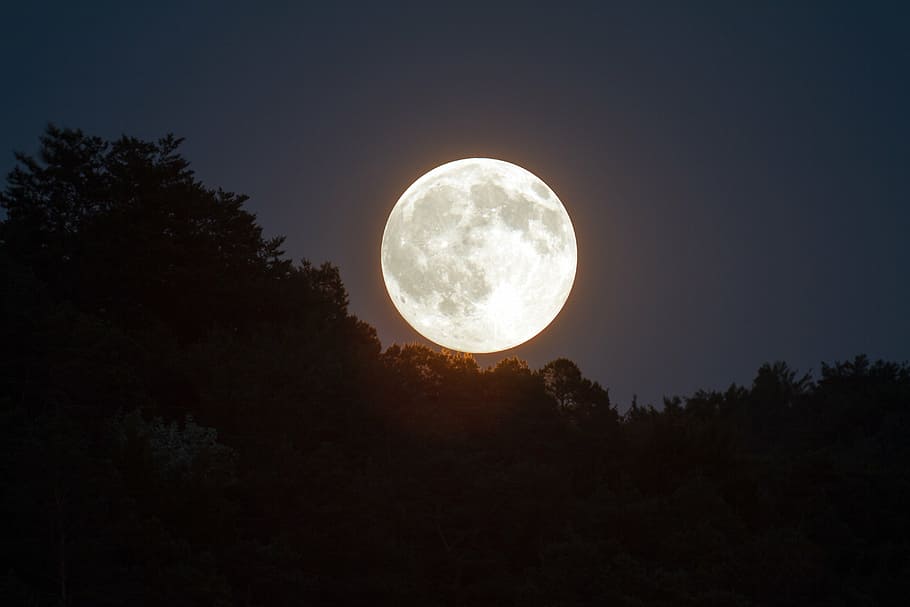 HD wallpaper: full moon during nighttime, evening sky, moonlight, mood,  night sky | Wallpaper Flare