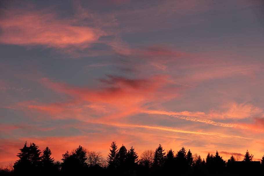 Autumn, Sunset, Red, Cloud, tree, silhouette, scenics, forest HD wallpaper