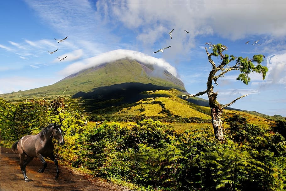 Serra, Mountains, Blue Sky, Clouds, trees, vegetation, nature HD wallpaper