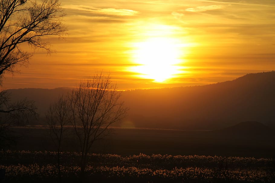 sunset, afterglow, sky, mood, beauty in nature, scenics - nature HD wallpaper