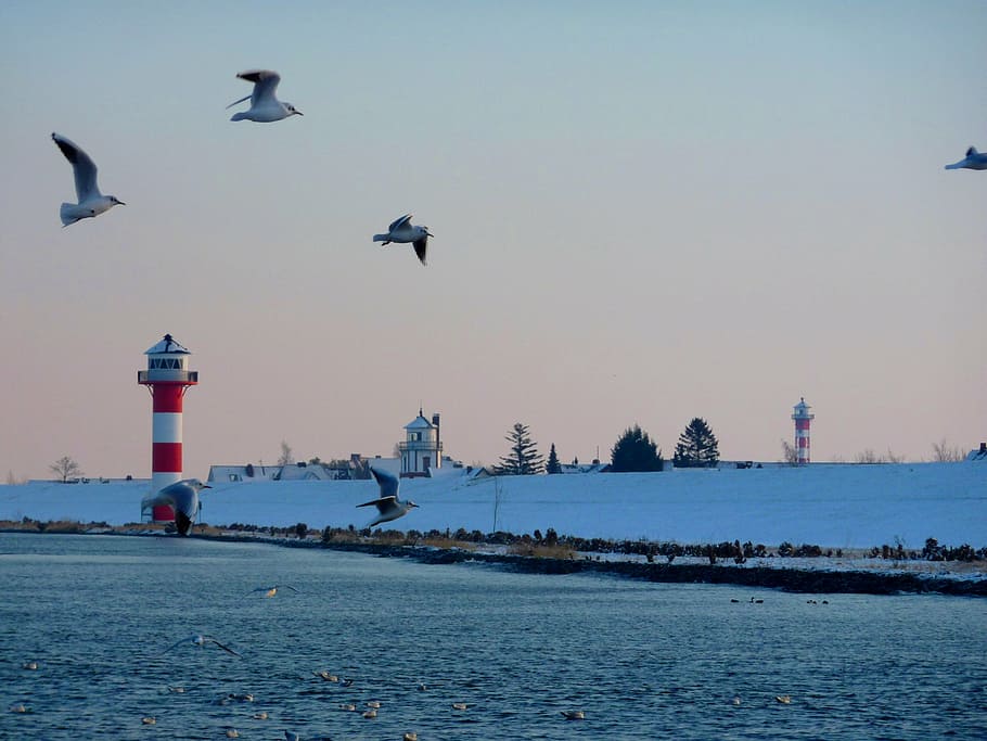 elbe, lighthouse, beacon, nature, seafaring, navigation, water HD wallpaper