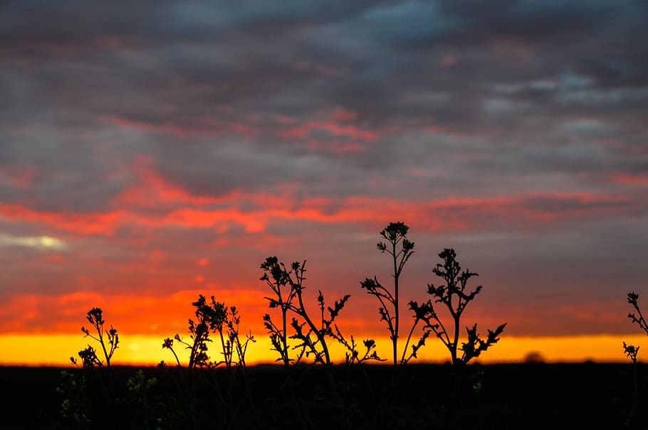 Colors, Sunset, Clouds, sky, dramatic sky, nature, silhouette HD wallpaper