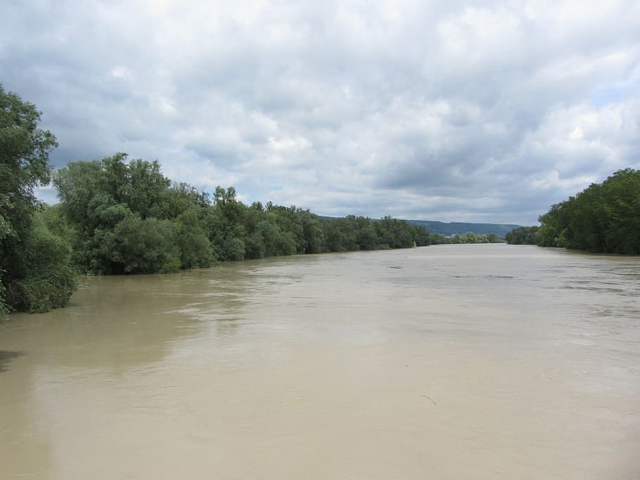 high water, river, tree, landscape, brown, sky, cloud - sky HD wallpaper
