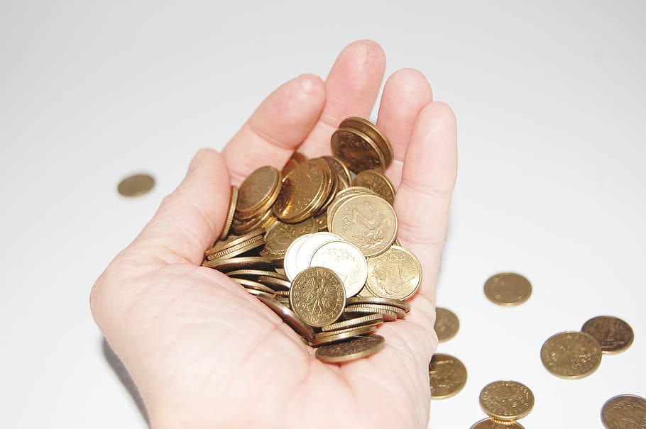 person holding round gold-colored coins, money, money in hand