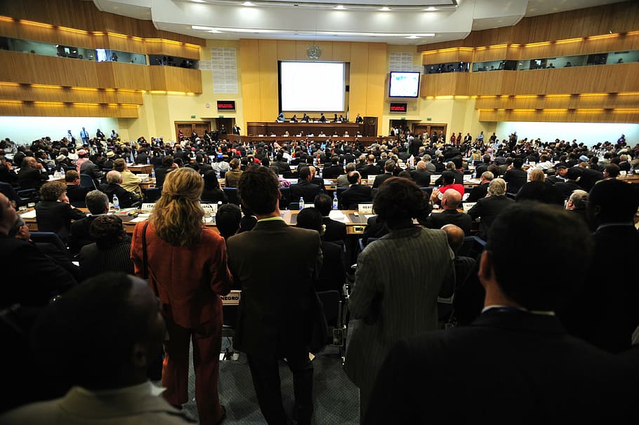 group of people on brown wooden room, meeting, addis ababa, ethiopia, HD wallpaper