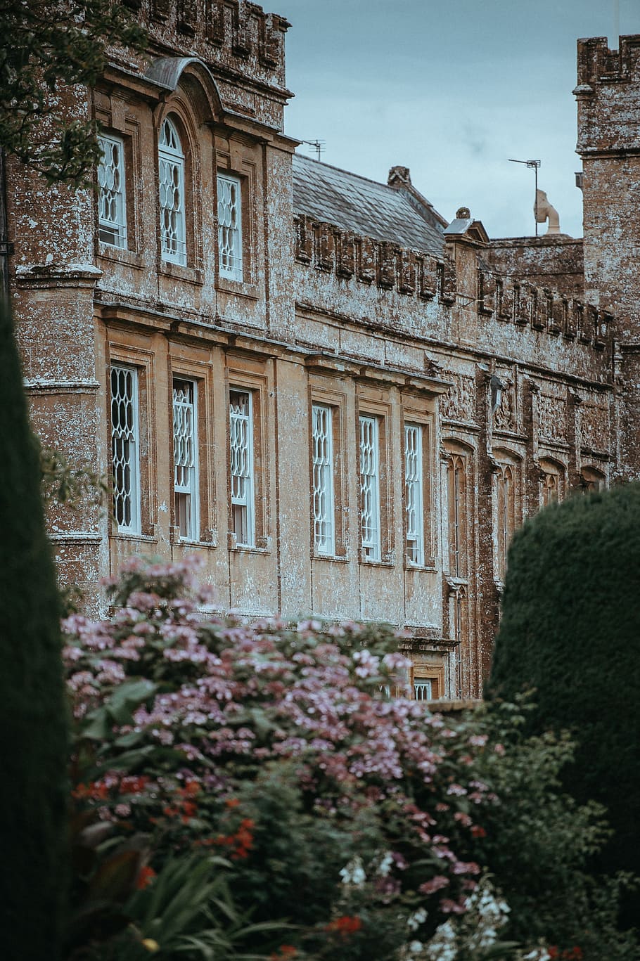Forde Abbey, trees near brown concrete house, architecture, building HD wallpaper