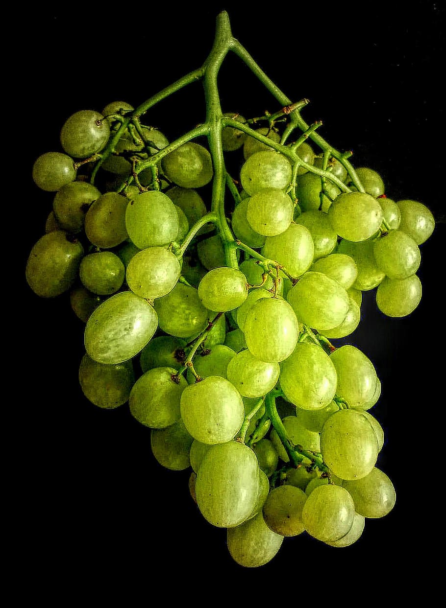 vine, grape, fruit, bunch, food, healthy eating, freshness HD wallpaper