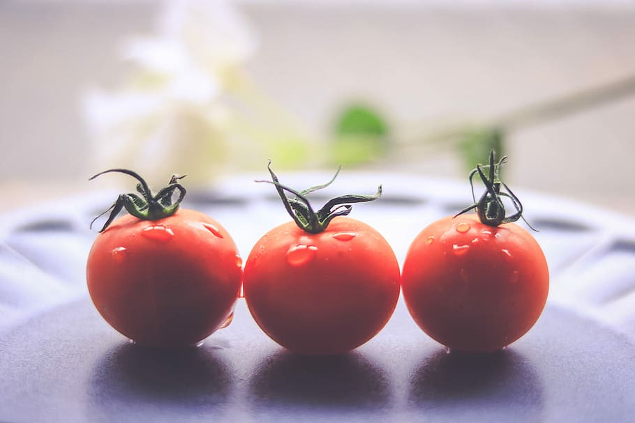 three orange tomatoes, food, red, vegetable, freshness, ripe HD wallpaper