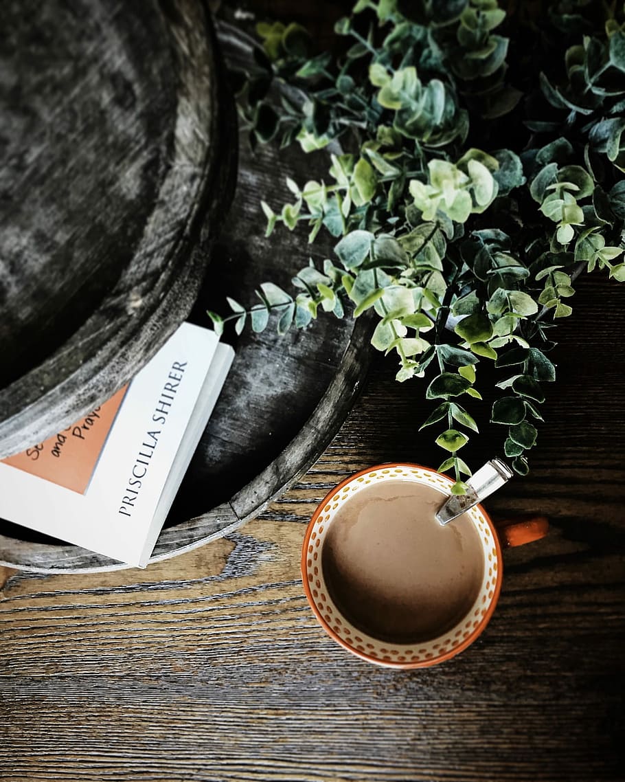 flat lay photography of coffee cup beside plant and book, white and orange ceramic mug filled with coffee near plant and book