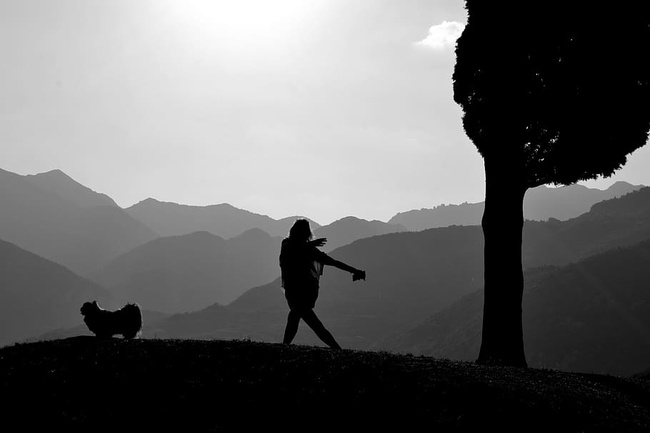 Tree, Sunset, Landscape, Dusk, thai chi, silhouette, one person HD wallpaper