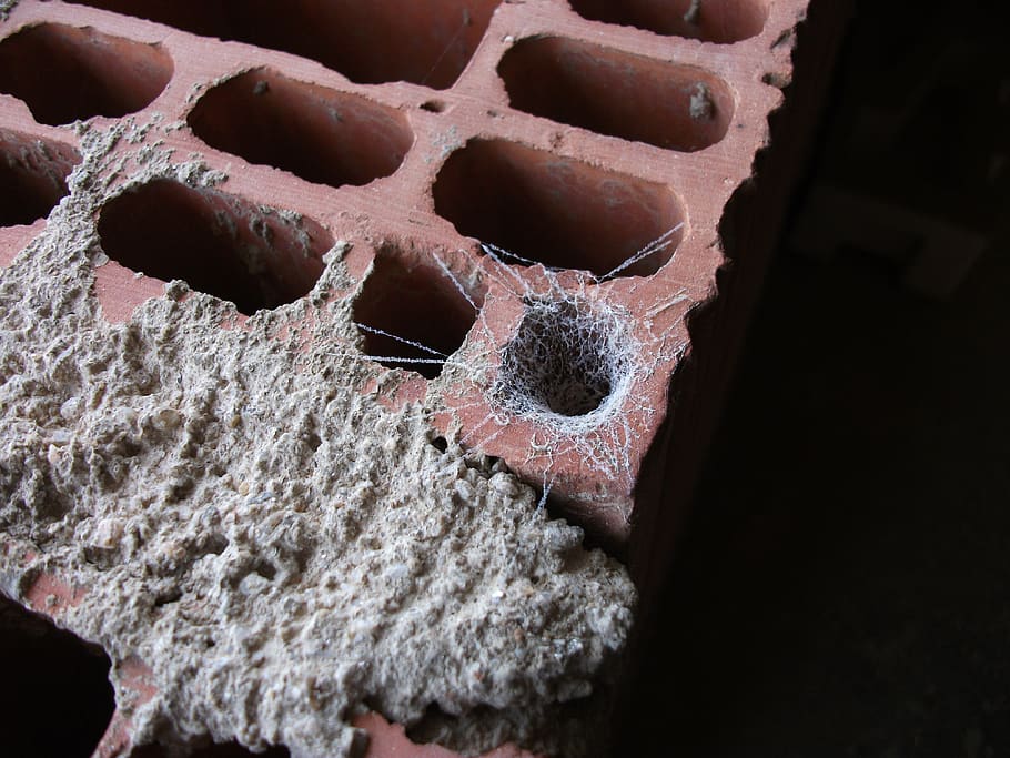 brick, web, construction, close-up, no people, indoors, focus on foreground HD wallpaper