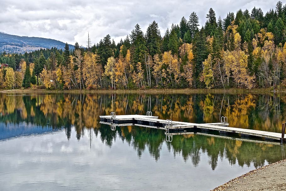 Pier, Jetty, Reflection, Calm, Autumn, water, tree, lake, nature HD wallpaper