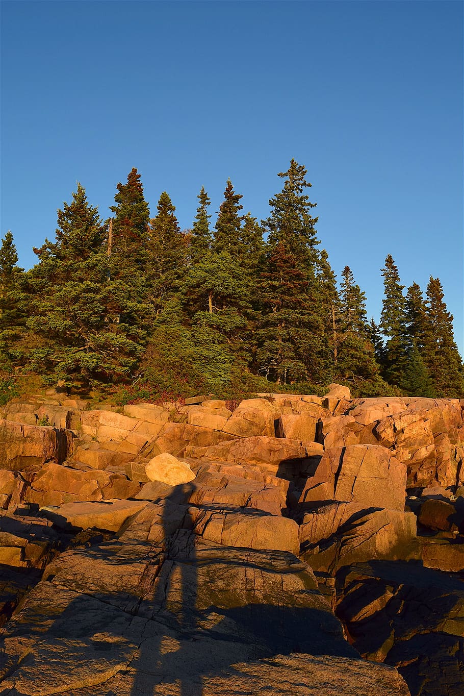 sunset, trees, rocks, pine trees, maine, nature, landscape HD wallpaper