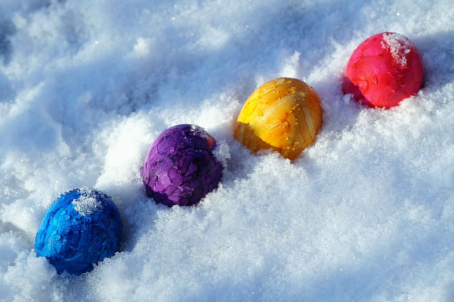 four assorted-color eggs on snow ground, easter, holidays, in the snow HD wallpaper