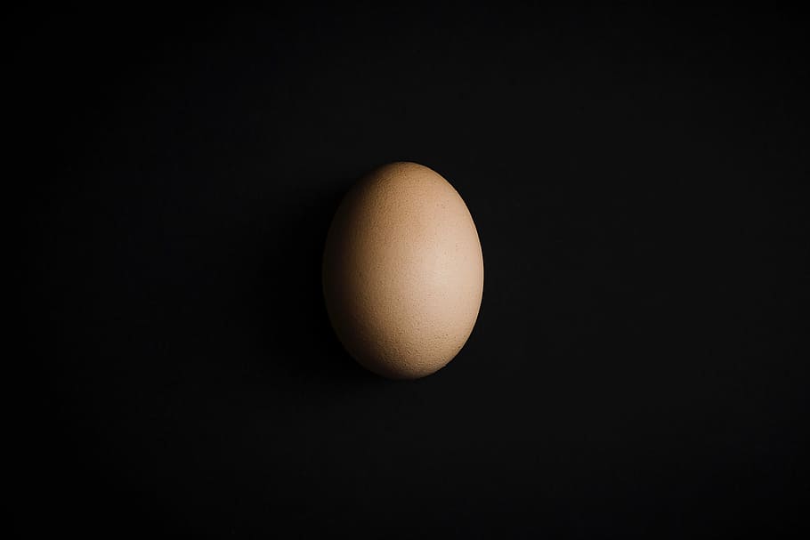 Egg, dark, minimal, minimalistic, simple, simplistic, food, animal Egg, HD wallpaper