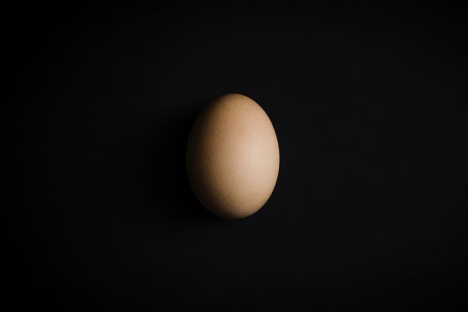 poultry egg, raw, shell, easter, black background, healthy eating HD wallpaper