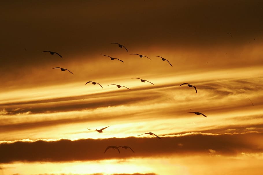 sunset, landscape, twilight, dusk, sunshine, sky, colorful HD wallpaper