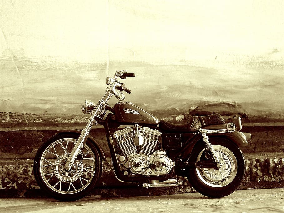 sepia photo of cruiser motorcycle, Bike, Harley, Speed, Road