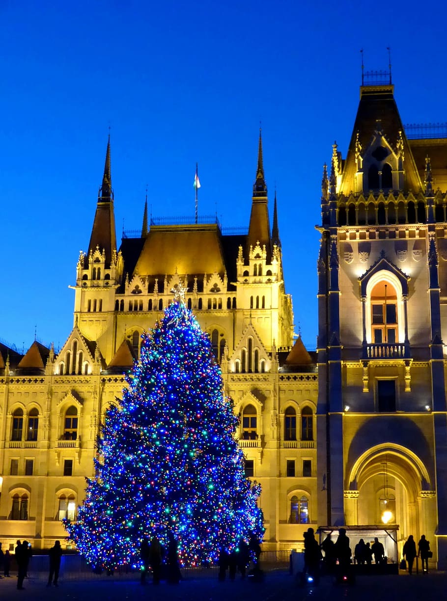 budapest, hungary, parliament, hungarian parliament building