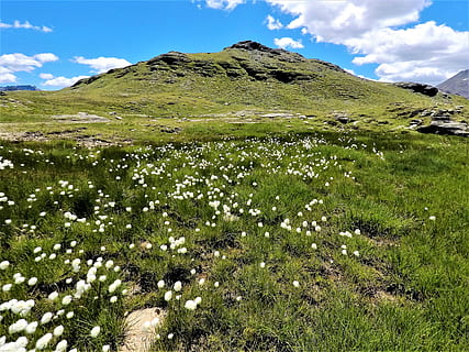 nature, landscape, mountain, grass, panorama, sky, meadow, travel HD wallpaper