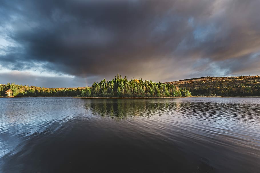 green forest island near calm body of water nature photography, landscape photo of body of water and island HD wallpaper