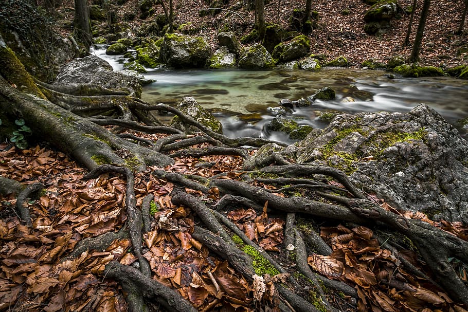 timelapse photograph of river with stones, water, bach, waterfall HD wallpaper