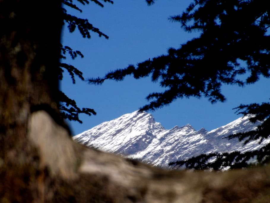 Sneak Peak, glacier mountain under blue sky, snow, summit, tree HD wallpaper