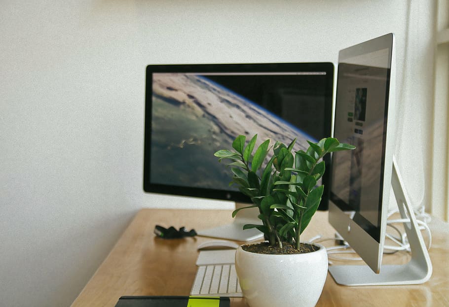 potted green plant on brown table, computers, monitors, technology HD wallpaper