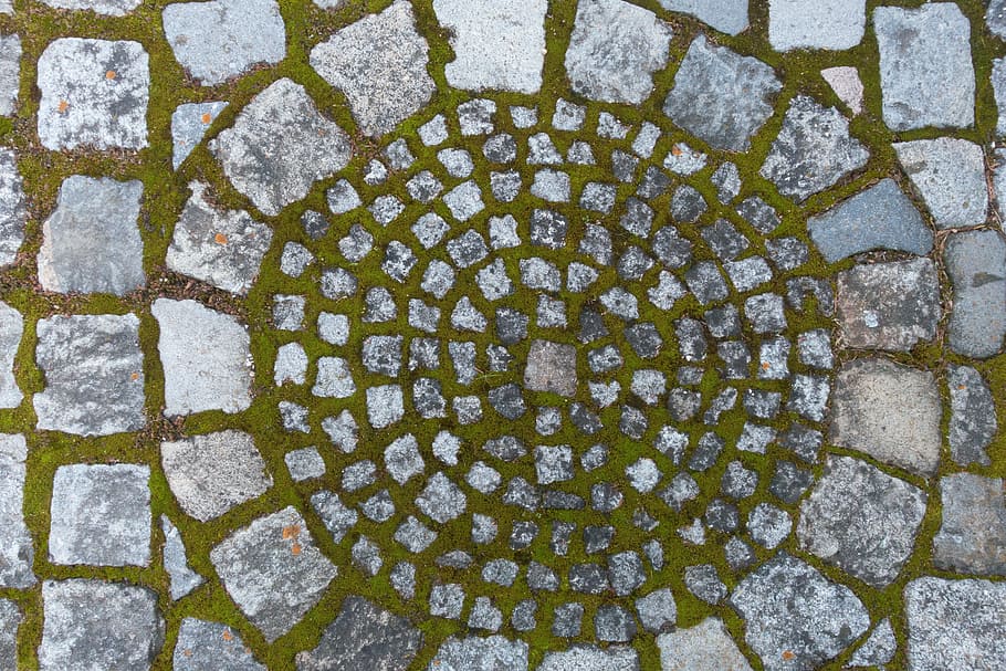 gray concrete surface in closed-up photo, granite, patch, moss HD wallpaper