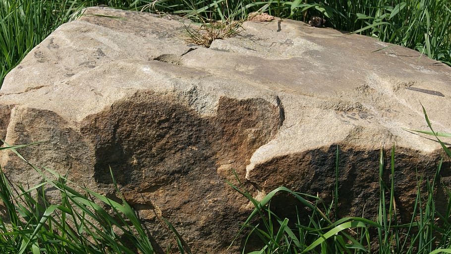 rocks, stone, plant, tree, no people, day, nature, land, growth HD wallpaper