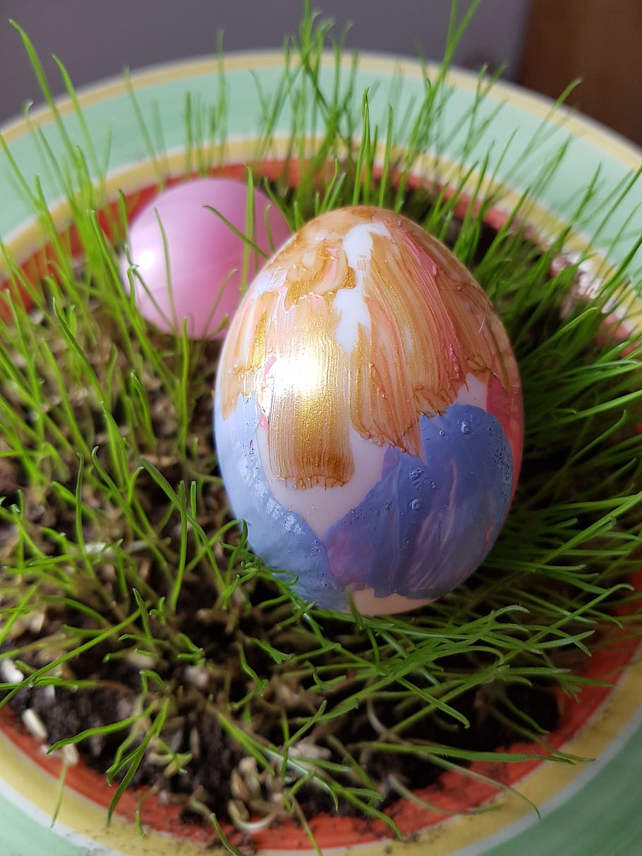 easter, egg, food, easter egg, close-up, food and drink, no people HD wallpaper