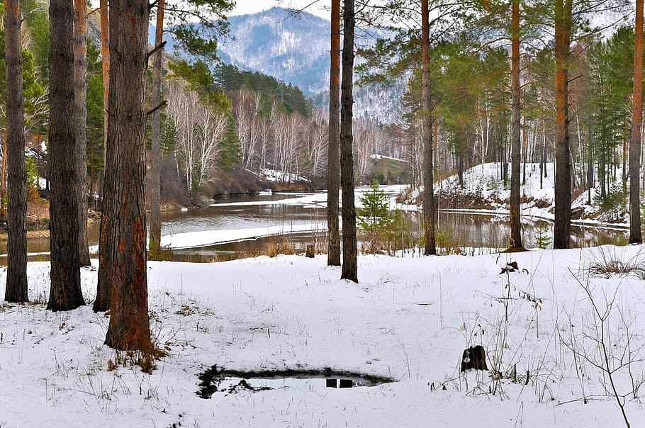 body of water near green leafed trees and snow capped ground HD wallpaper