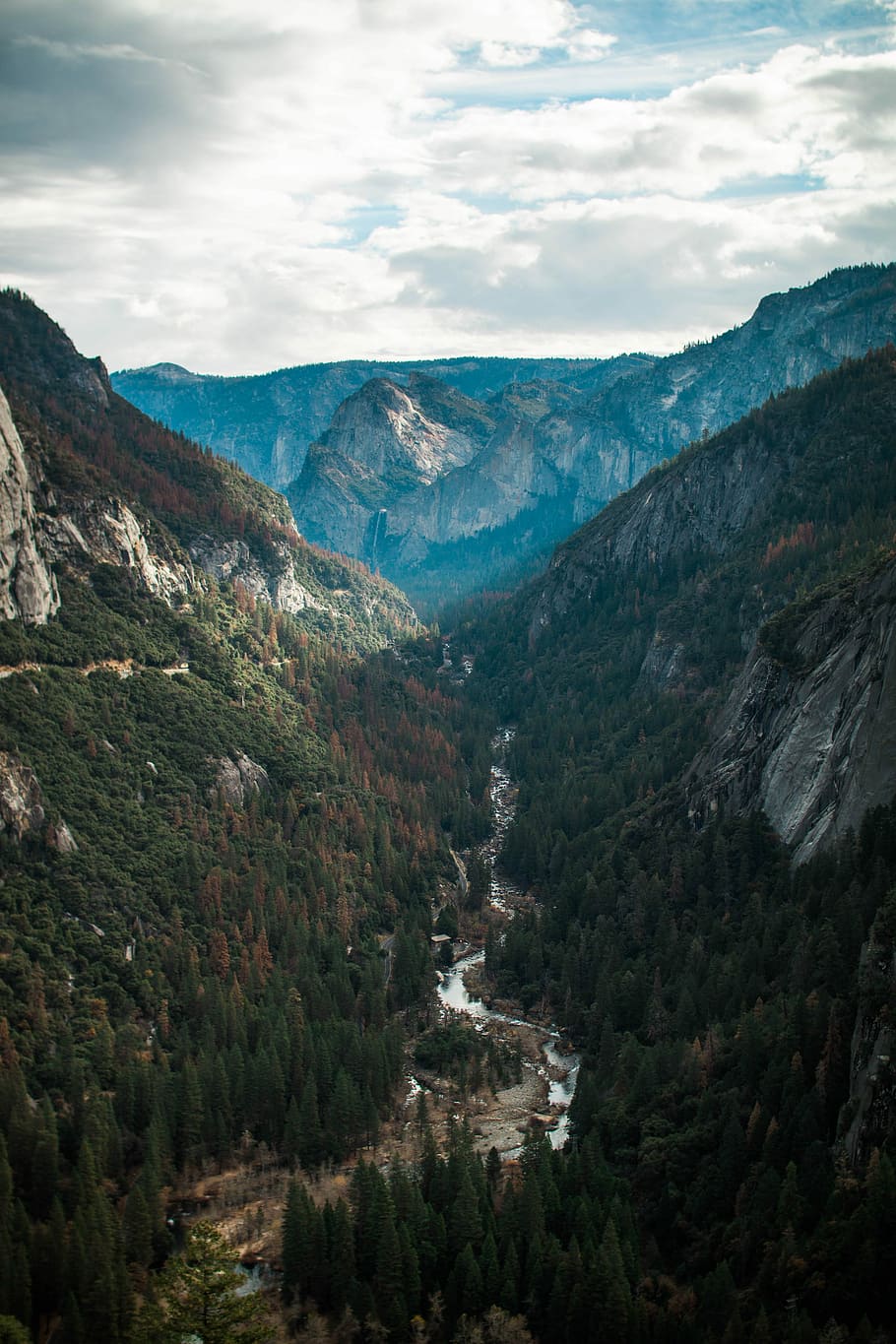 Breathe - Valley, bird's-eye photography of trees on mountain HD wallpaper