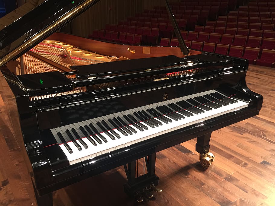 changsha concert hall, stage, steinway piano, musical instrument, HD wallpaper