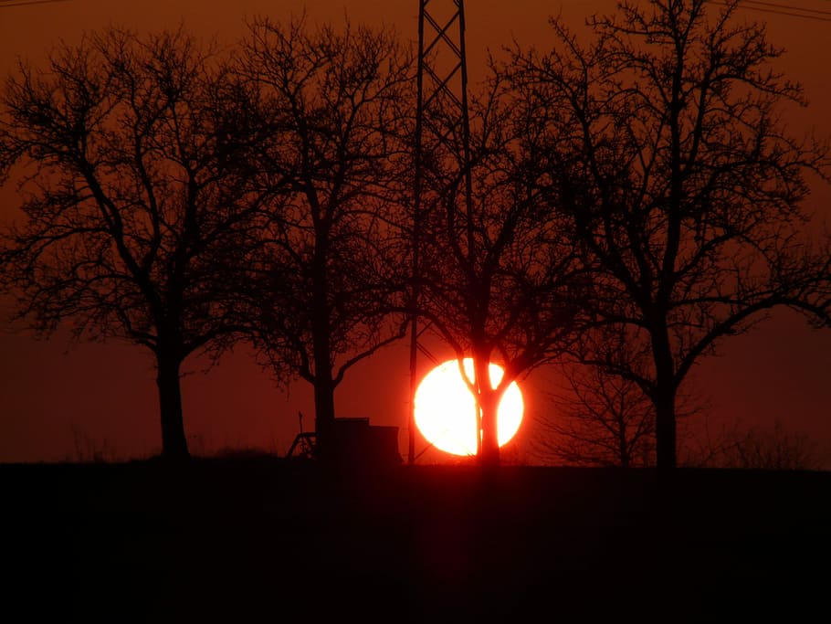Sunset, Fireball, abendstimmung, sky, glow, romance, trees HD wallpaper