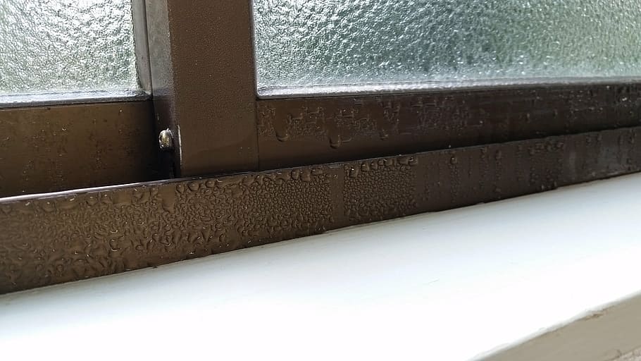 winter, windows, dew condensation, water, drops, no people HD wallpaper