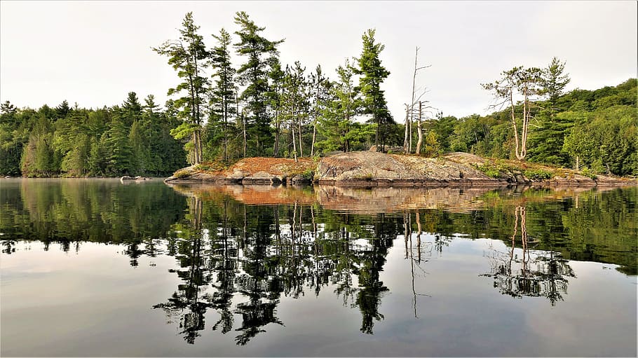 ashby lake, ontario, canada, canadian shield, dawn, tranquil, HD wallpaper