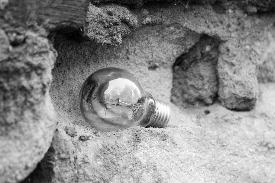light bulb, retro, broken, animal wildlife, animal themes, close-up HD wallpaper