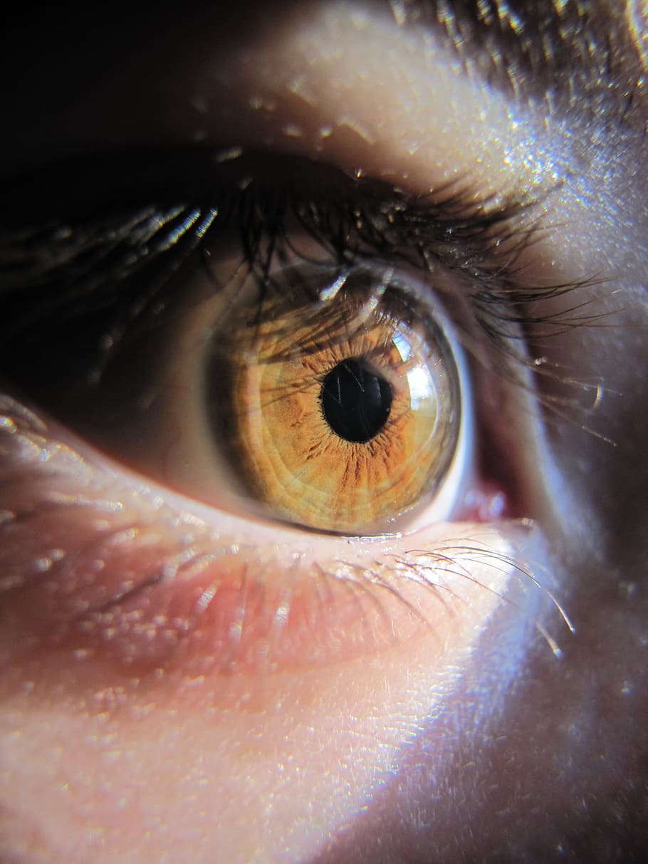 eye, macro, szupermakró, iris, watch, eyelash, skin, eyesight HD wallpaper