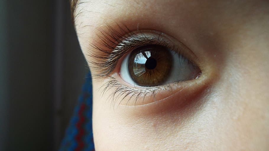 right person's eye, brown, brown eyes, iris, beauty, girl, pictures HD wallpaper